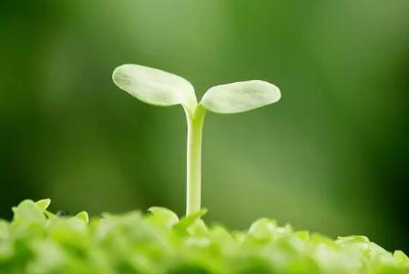 凱洛夫的名人名言有哪些