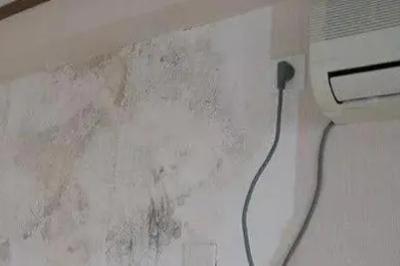 房間濕度大有什么危害?房間濕度大有什么危害嗎?