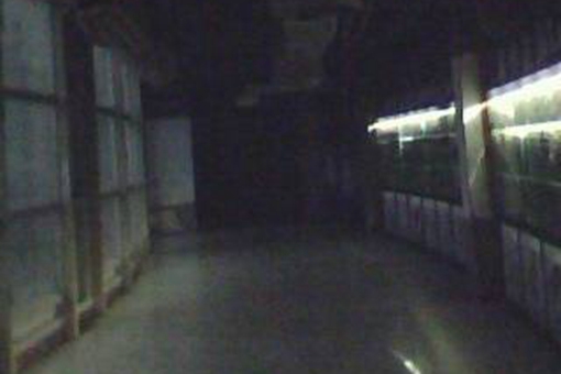 廣州荔灣廣場為何被叫做荔灣尸場?真相是什么? 廣州荔灣廣場為何被叫做荔灣尸場?真相是什么?