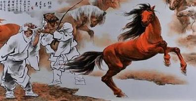 伯樂一顧中的伯樂看的是什么?