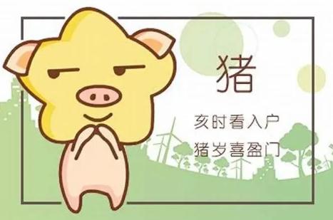 2022年生肖豬上半年的運勢運程好不好