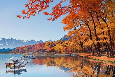 新疆15天旅游費用