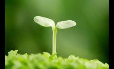 凱洛夫的名人名言有哪些