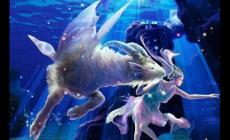 2022年1月1日元旦出生的孩子屬于什么星座？