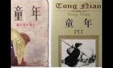 童年的內容簡介30字左右 高爾基