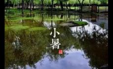 小暑是什么意思?小暑含義的詞語