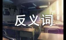 流動的反義詞是什么？流動的反義詞有哪些