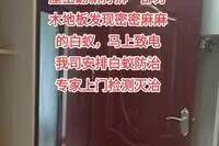 滅白蟻哪家公司好 推薦三家公司