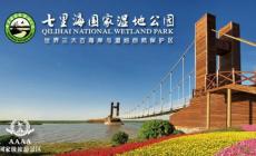 天津一日旅游攻略 必玩的景點 天津七里海國家濕地公園2024