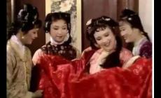 《紅樓夢》中薛寶琴是誰？薛寶琴的結局如何？