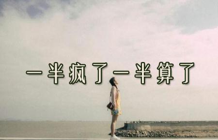 一半瘋了一半算了歌詞 - 劉振宇好聽的歌曲