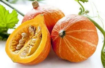 南瓜的碳水化合物含量高嗎