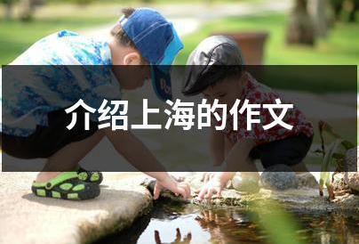 上海城市介紹300字作文 介紹上海的作文300字