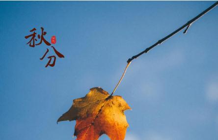 經典秋分節氣唯美句子