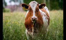 1997年的今年多大了？(1997年周歲多大2024)