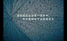 適合雨后發在朋友圈的文案短句