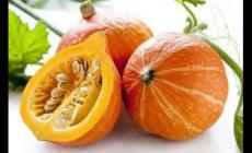 南瓜的碳水化合物含量高嗎