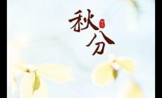 最新秋分節氣說說 縷縷秋風送清爽