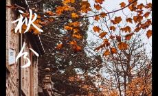 關于秋分節氣唯美句子