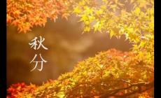 關于秋分節氣的文案短句