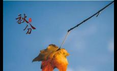 經典秋分節氣唯美句子