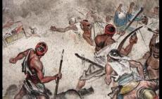 林維喜事件_林維喜事件歷史名詞解釋