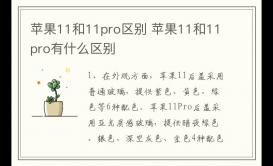 蘋果11和11pro的區別 蘋果11和11pro有什么區別