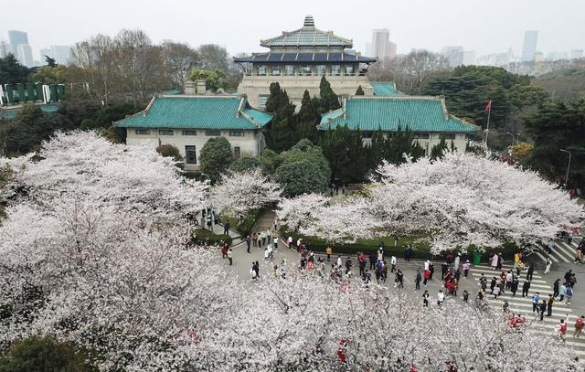 985大學全部排名，揭曉：頂尖學府最新座次排定