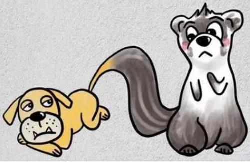 狗尾續貂的主人公是誰 狗尾續貂的主人公是誰?