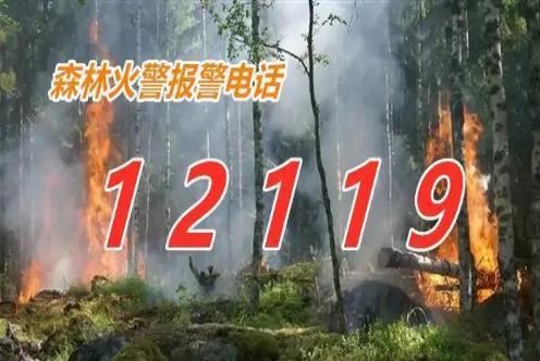 森林火災報警電話是多少?