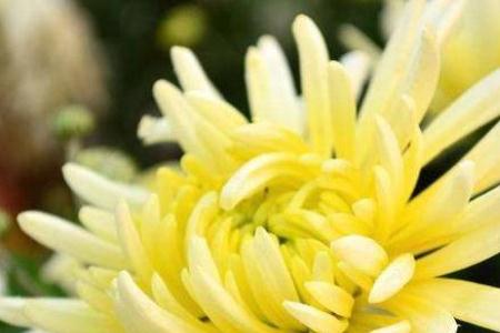 男生高考成績太好失眠半夜大掃除 什么情況 男生高考成績太好失眠半夜大掃除 什么情況