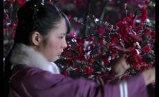 甄嬛傳皇上說玉樓歸去是什么意思 皇上說玉樓歸去是什么意思呢