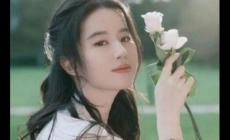 劉亦菲憑一部劇帶火了5個人,怎么回事?