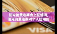 陽光消費逾期會上征信嗎？逾期對個人信用影響大不大？