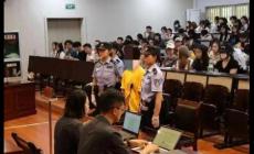 多次乘霸王車女子被判刑 怎么回事呢?