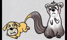 狗尾續(xù)貂的主人公是誰 狗尾續(xù)貂的主人公是誰?