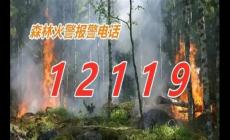 森林火災(zāi)報警電話是多少？