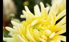 男生高考成績太好失眠半夜大掃除 什么情況