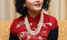 何賽飛個人簡歷_何賽飛個人資料_何賽飛主演的電視劇