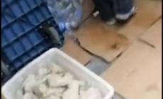 胖東來搟面皮事件引警示 沖熱搜