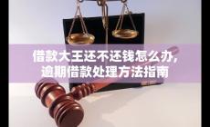 借款大王無法按時還款怎么辦？逾期借款處理指南