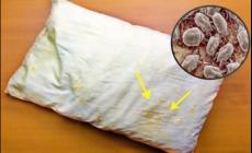 為什么枕頭上會(huì)有螨蟲 枕頭為什么會(huì)有螨蟲