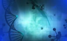 米里含肉!我國成功研發出豬肉米、雞肉米