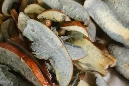 女子網(wǎng)購1斤“見手青”1天吃完后中毒 怎么回事如何辨別