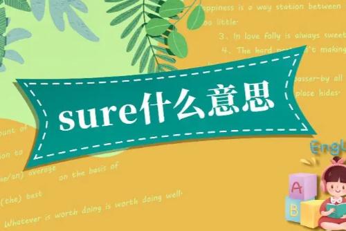 sure是什么意思，sure的意思是