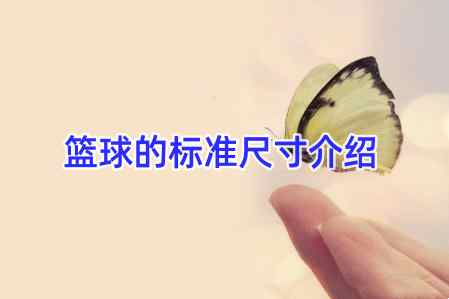 籃球的標準尺寸介紹