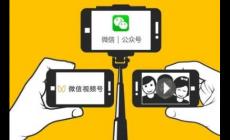 微信id號怎么查找到人的信息（微信id號怎么查找到人）