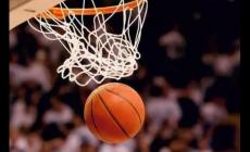 籃球的標準尺寸是多少厘米