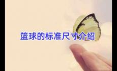 籃球的標準尺寸介紹資料