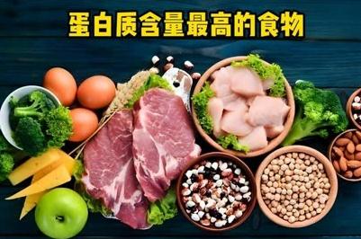 蛋白質高的食物有哪些